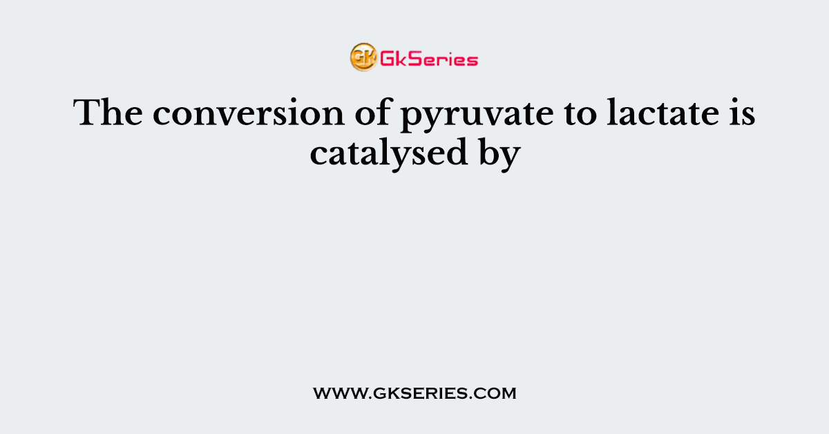 The conversion of pyruvate to lactate is catalysed by