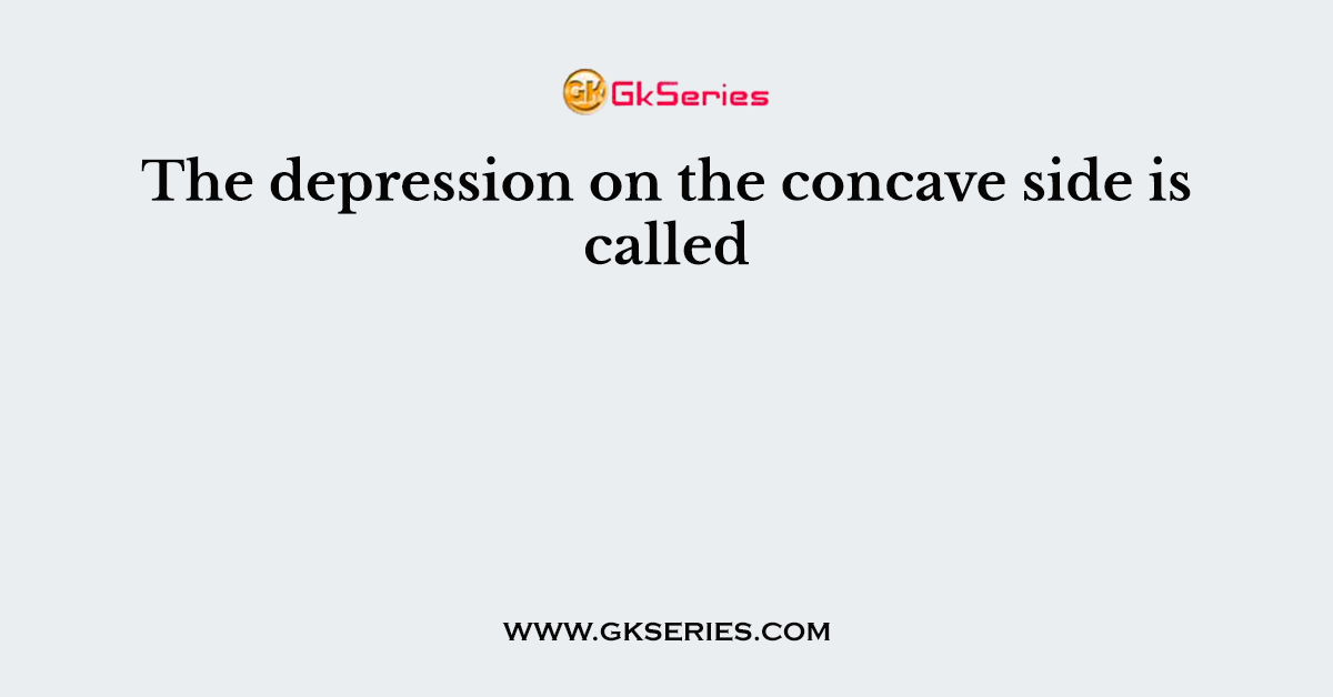 The depression on the concave side is called