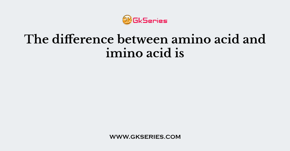 The difference between amino acid and imino acid is