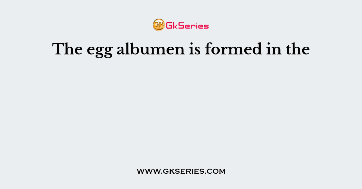 The egg albumen is formed in the