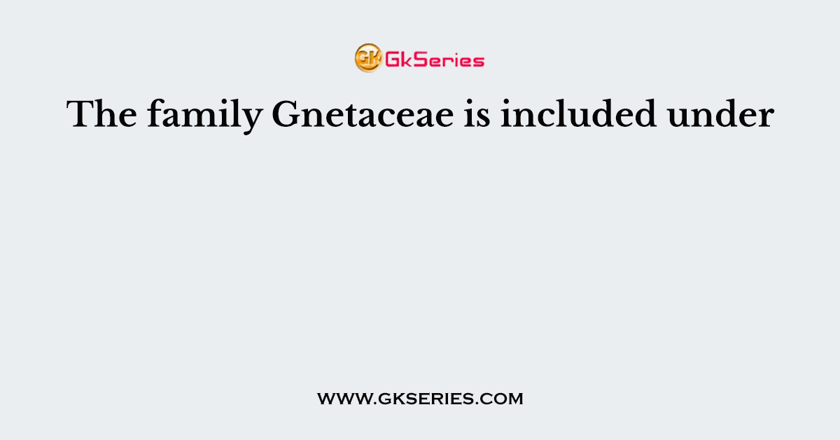 The family Gnetaceae is included under