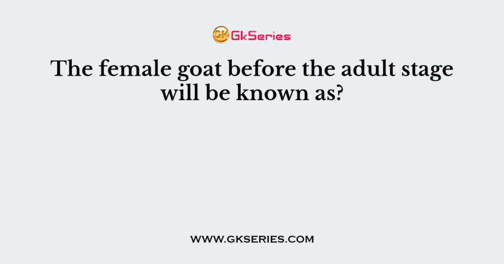 The female goat before the adult stage will be known as?