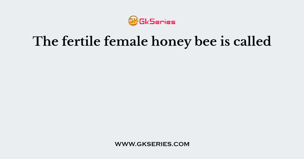 The fertile female honey bee is called