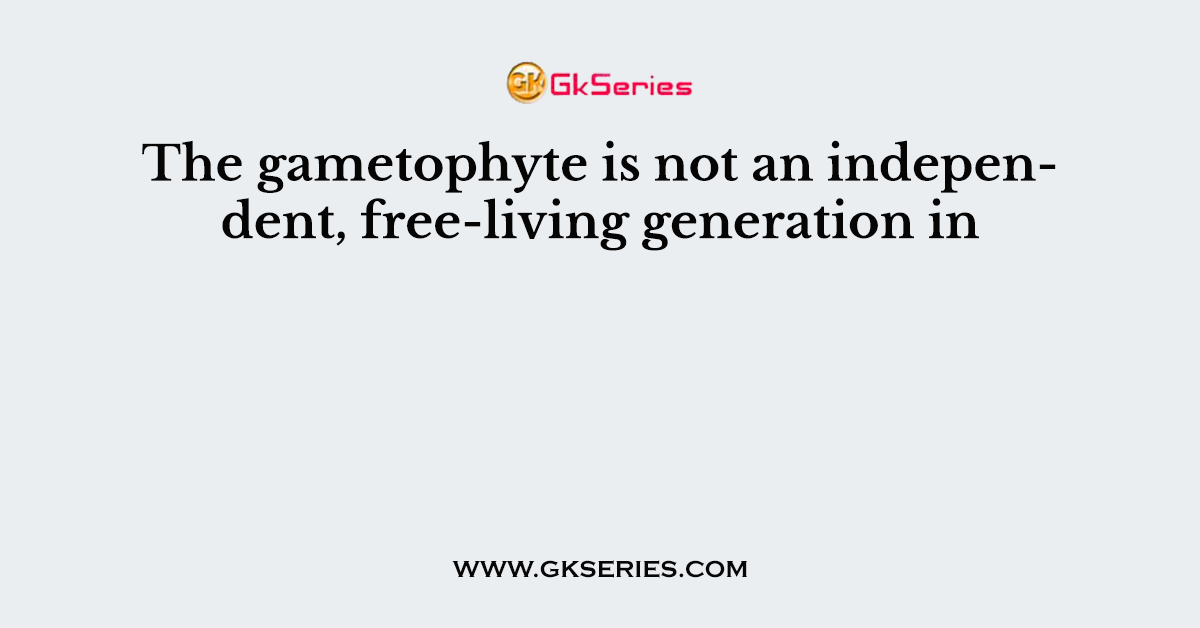 The gametophyte is not an independent, free-living generation in