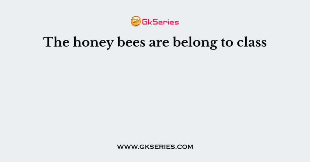 The honey bees are belong to class