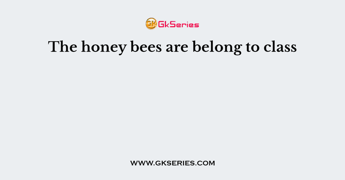 The honey bees are belong to class