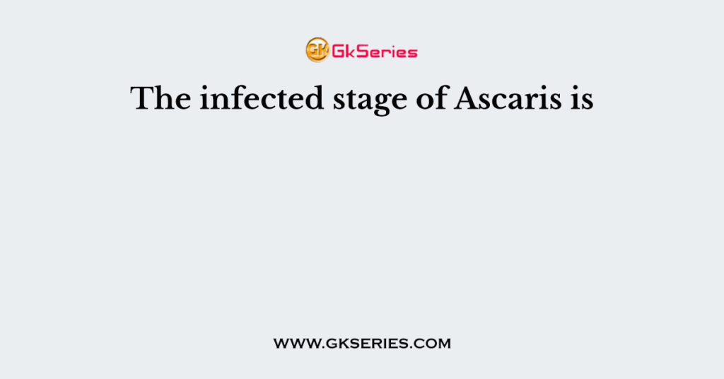 The infected stage of Ascaris is