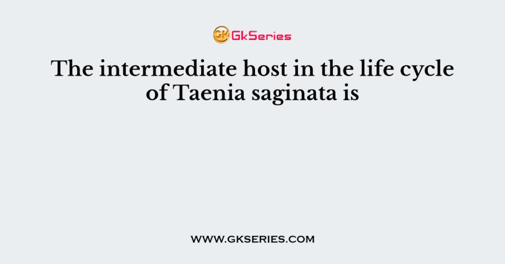 The intermediate host in the life cycle of Taenia saginata is