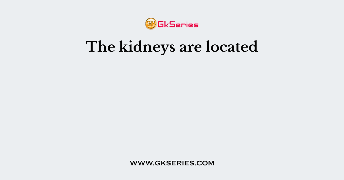 The kidneys are located