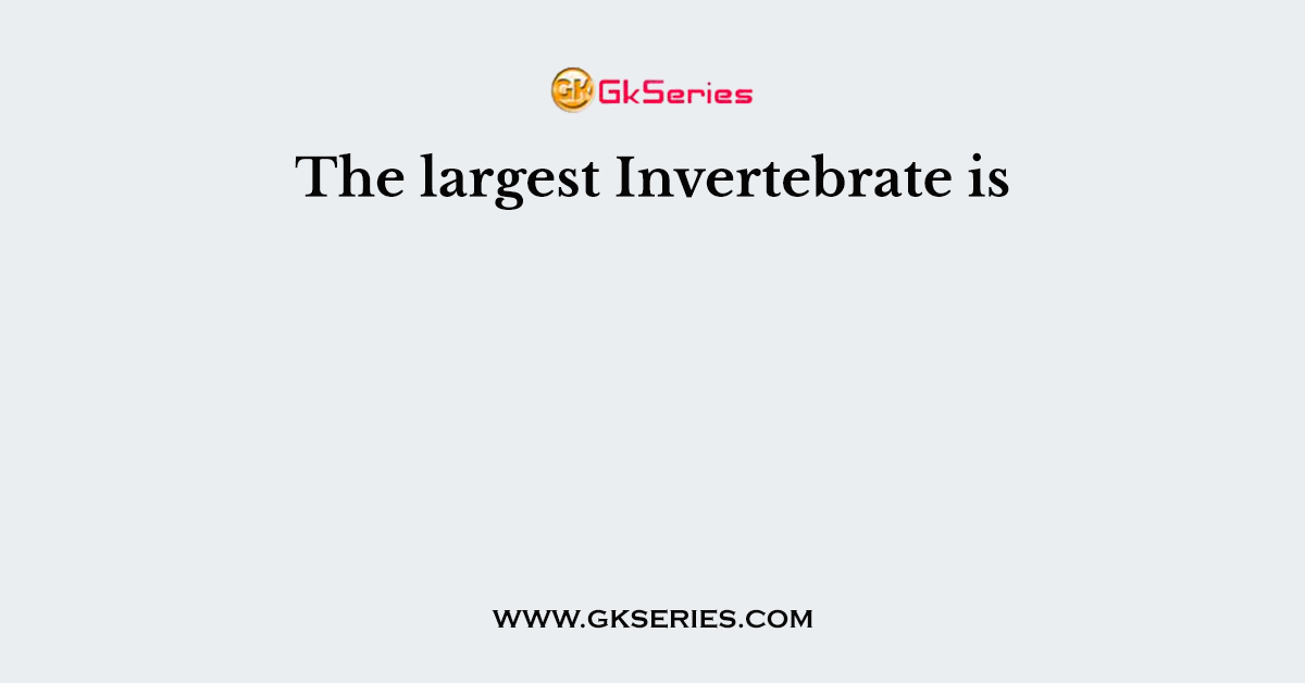 The largest Invertebrate is