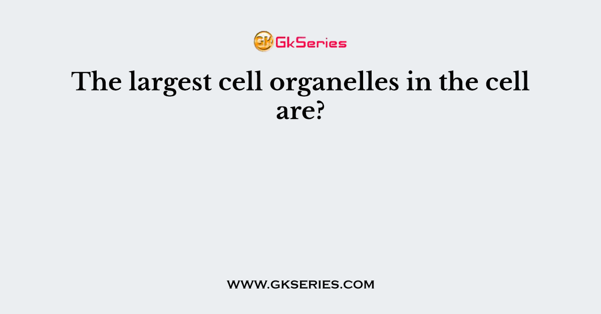 The largest cell organelles in the cell are?
