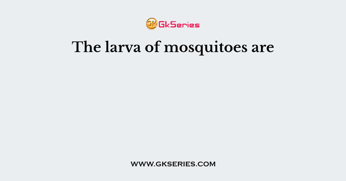 The larva of mosquitoes are