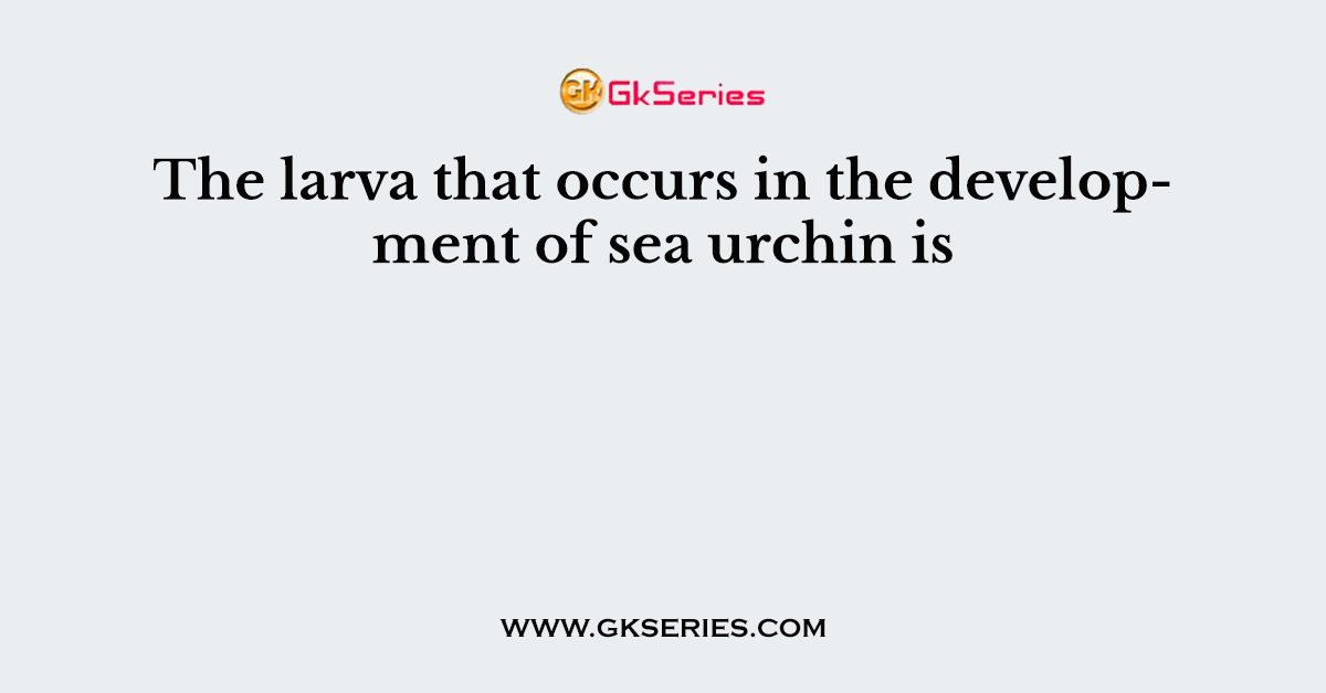 The larva that occurs in the development of sea urchin is