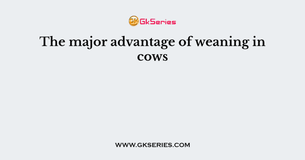 The major advantage of weaning in cows