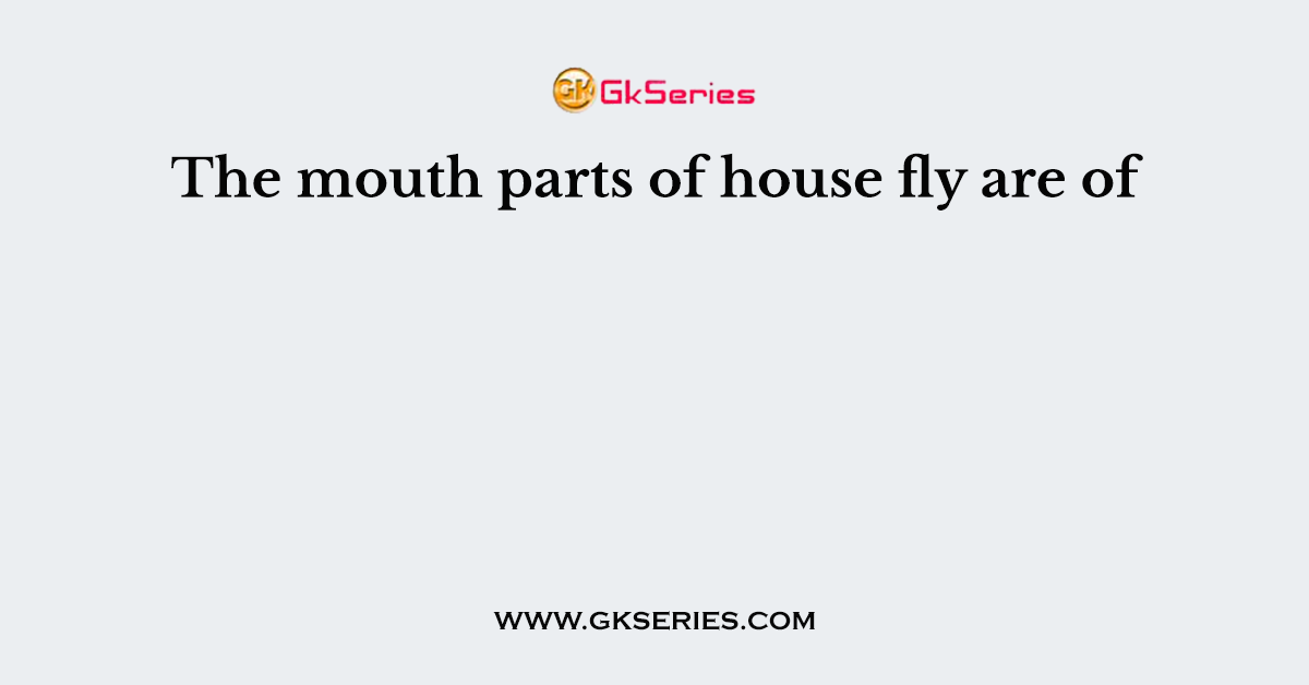 The mouth parts of house fly are of