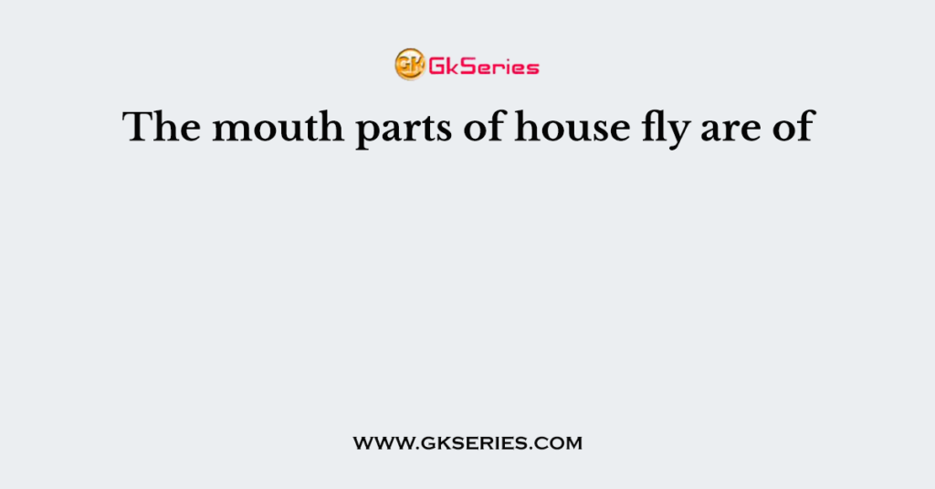 The mouth parts of house fly are of