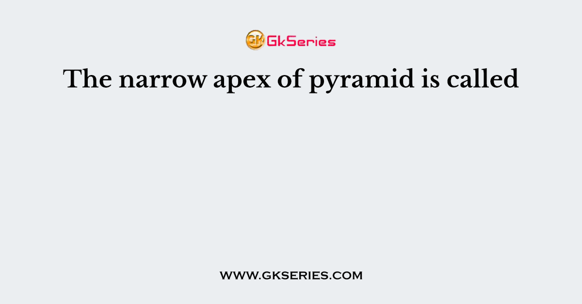 The narrow apex of pyramid is called