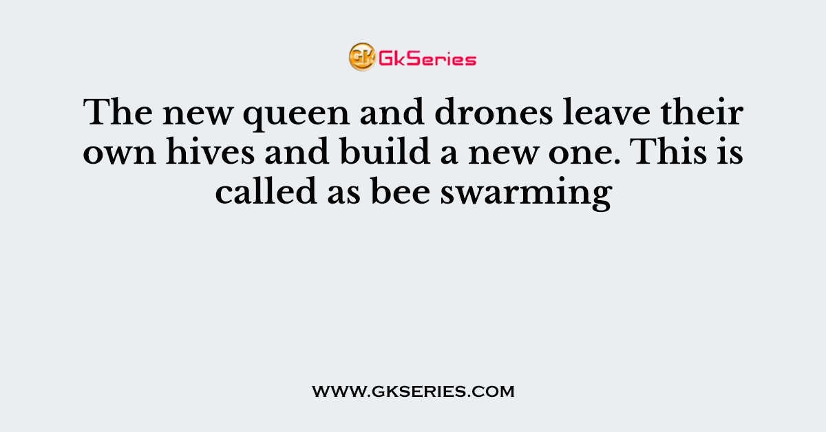 The new queen and drones leave their own hives and build a new one. This is called as bee swarming