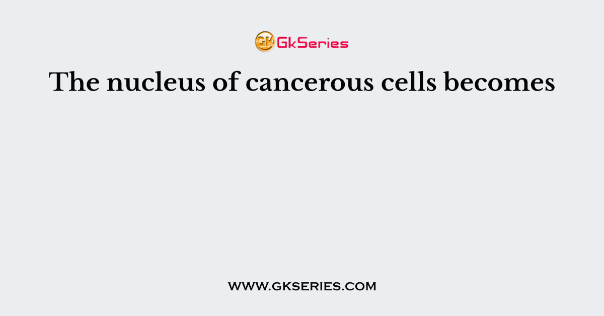The nucleus of cancerous cells becomes