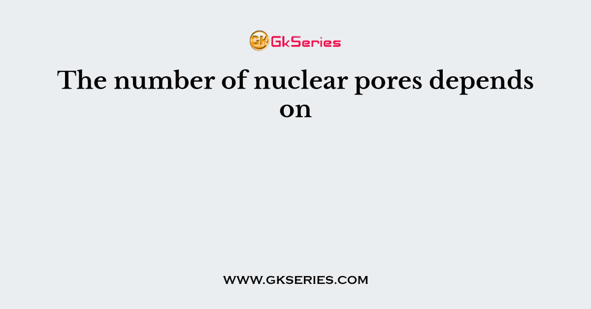 The number of nuclear pores depends on