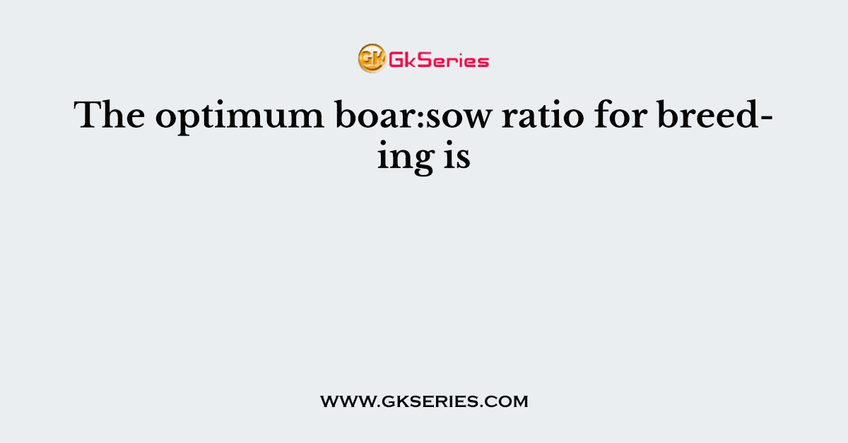 The optimum boar:sow ratio for breeding is