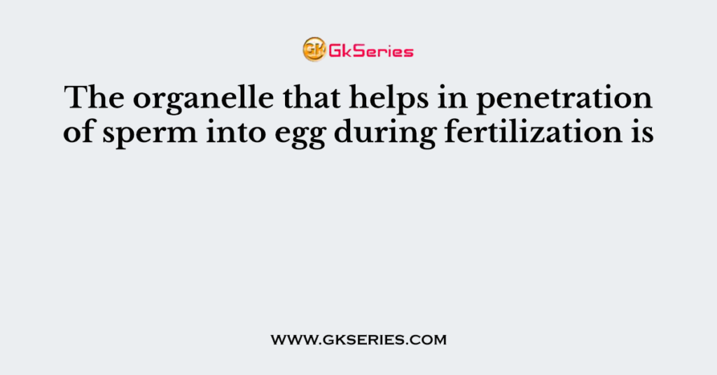 The organelle that helps in penetration of sperm into egg during fertilization is