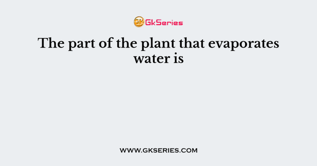 the-part-of-the-plant-that-evaporates-water-is