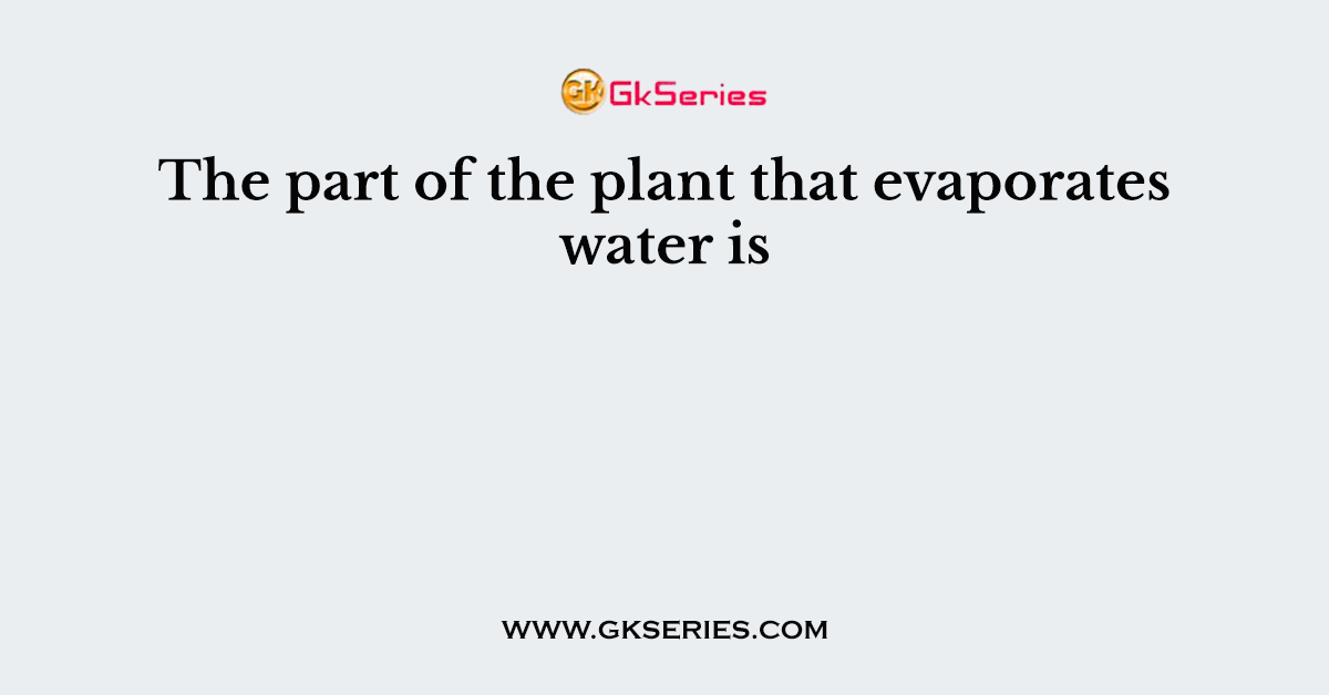The part of the plant that evaporates water is