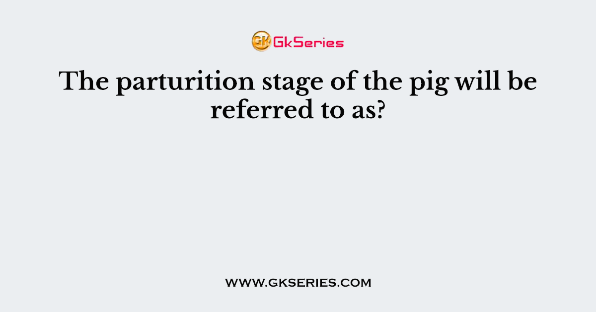 The parturition stage of the pig will be referred to as?