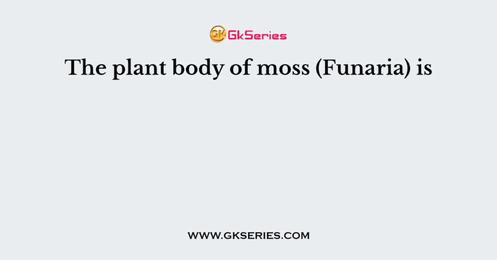 The plant body of moss (Funaria) is