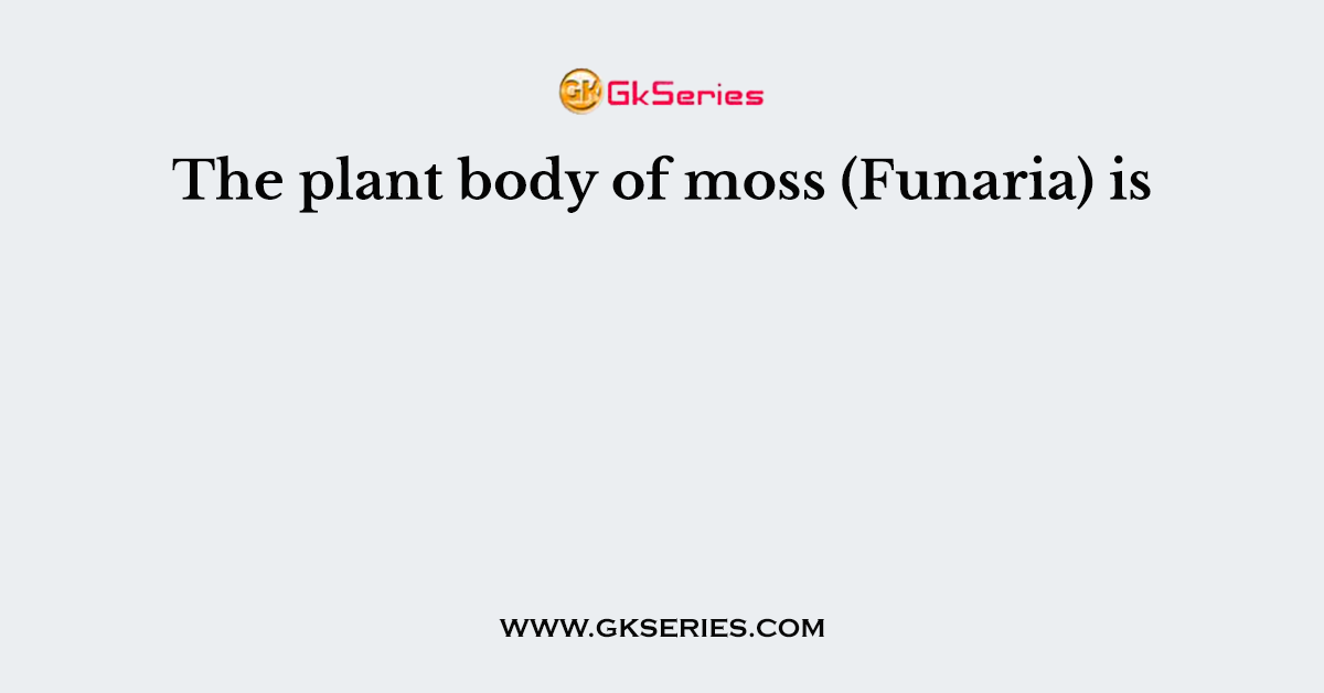 The plant body of moss (Funaria) is