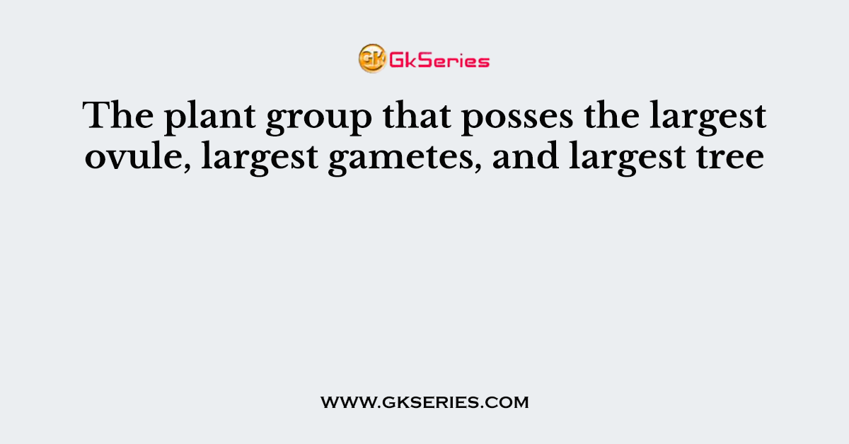The plant group that posses the largest ovule, largest gametes, and largest tree