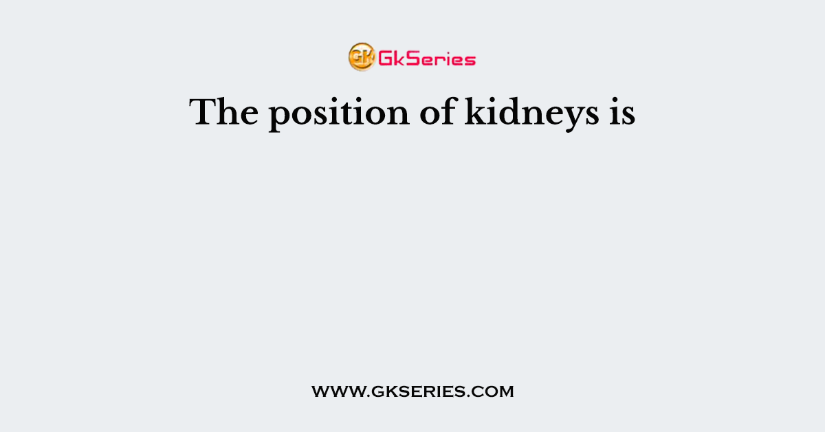The position of kidneys is