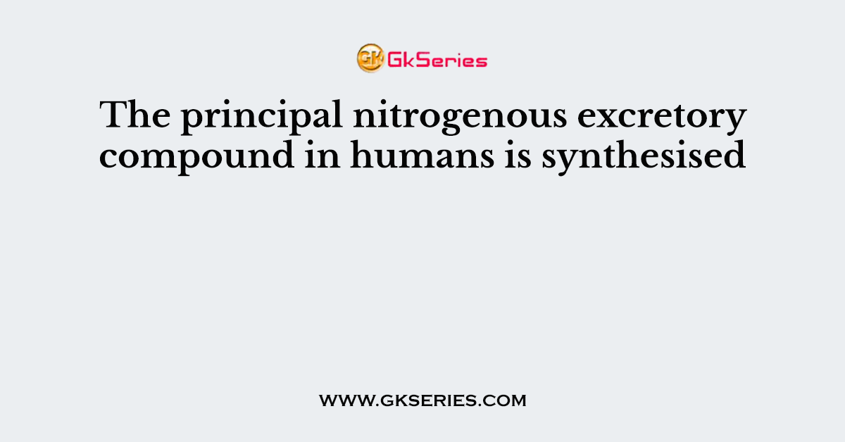 The principal nitrogenous excretory compound in humans is synthesised