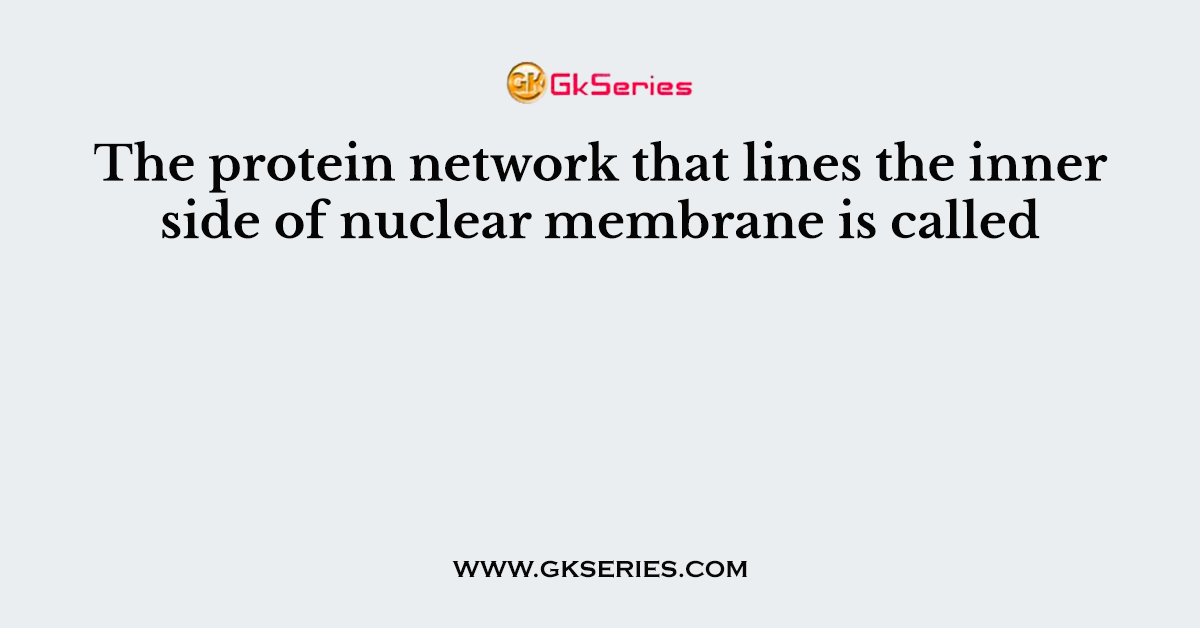 The protein network that lines the inner side of nuclear membrane is called