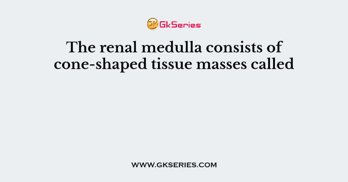 The renal medulla consists of cone-shaped tissue masses called