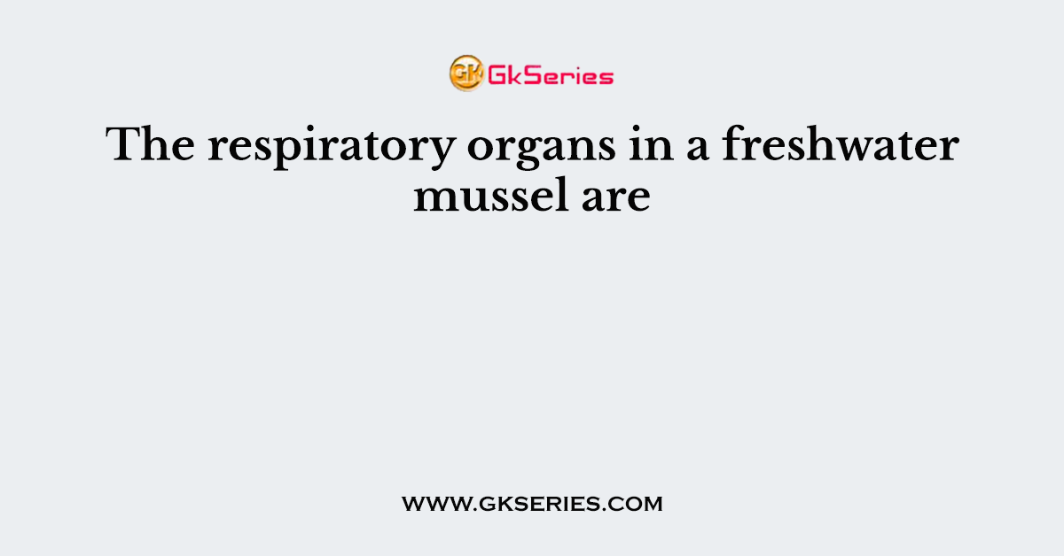 The respiratory organs in a freshwater mussel are