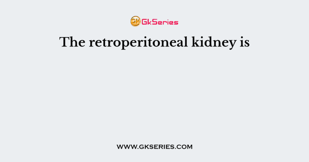 The retroperitoneal kidney is