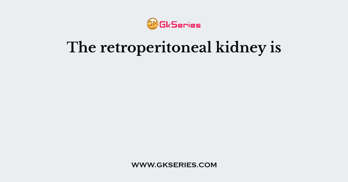 The retroperitoneal kidney is