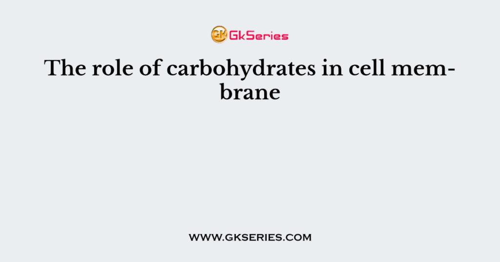 The role of carbohydrates in cell membrane