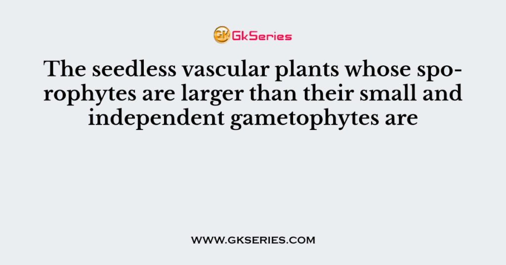 The seedless vascular plants whose sporophytes are larger than their small and independent gametophytes are