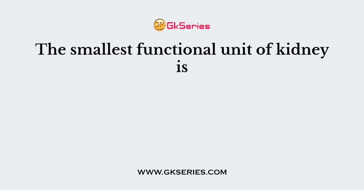 The smallest functional unit of kidney is