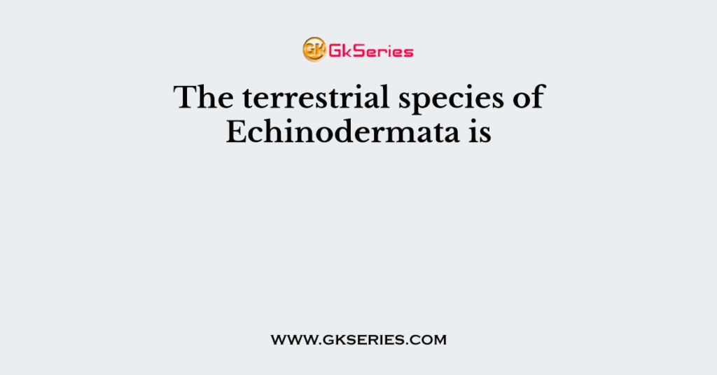 The terrestrial species of Echinodermata is