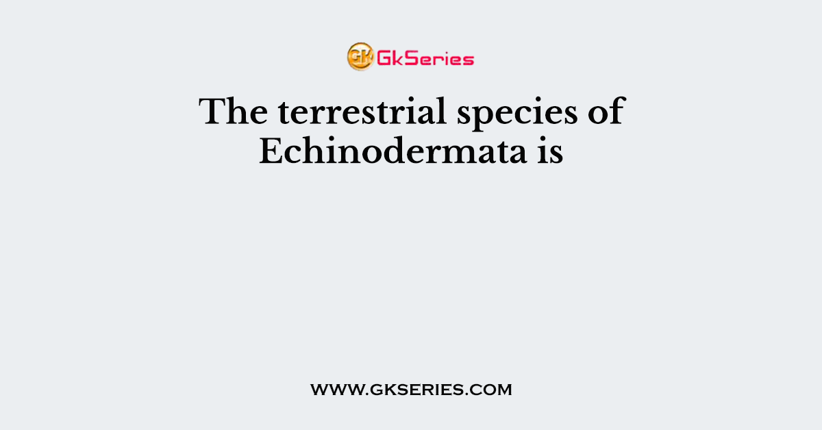 The terrestrial species of Echinodermata is