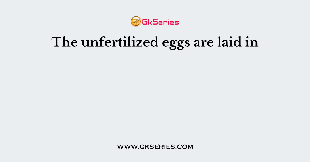 The unfertilized eggs are laid in