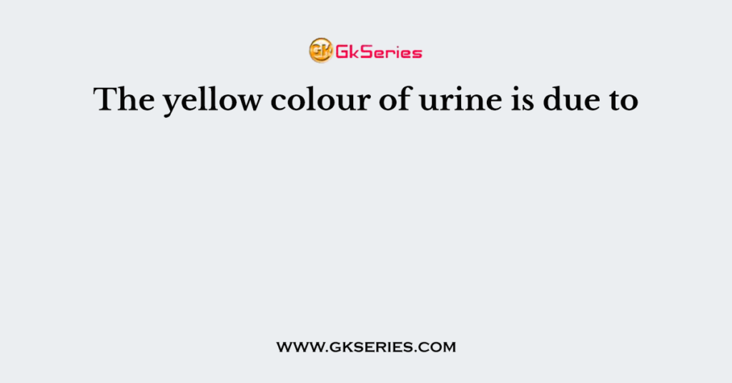 The yellow colour of urine is due to