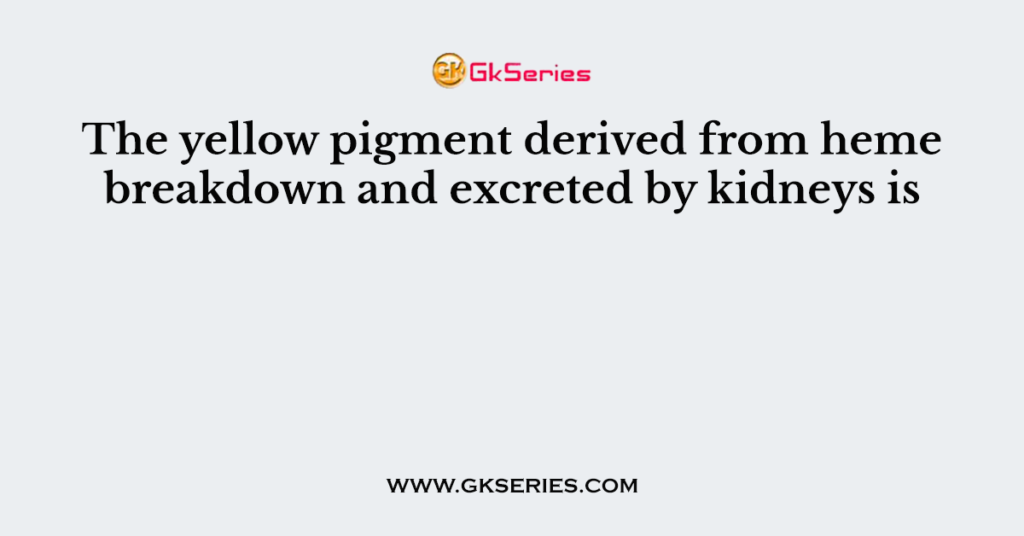 The yellow pigment derived from heme breakdown and excreted by kidneys is