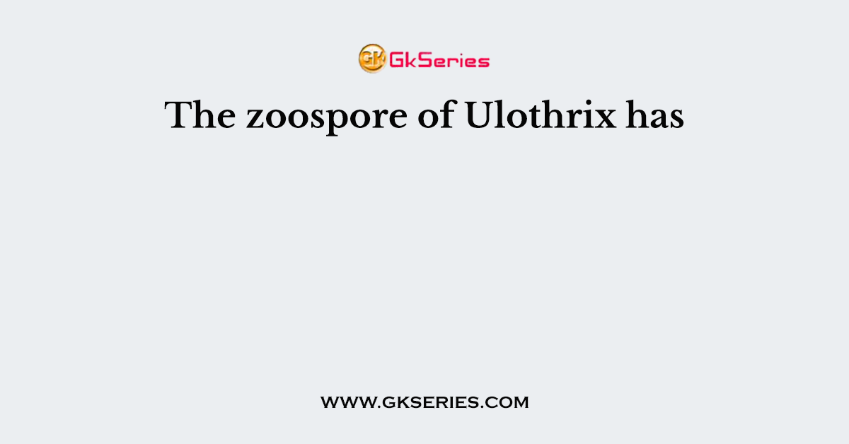 The zoospore of Ulothrix has