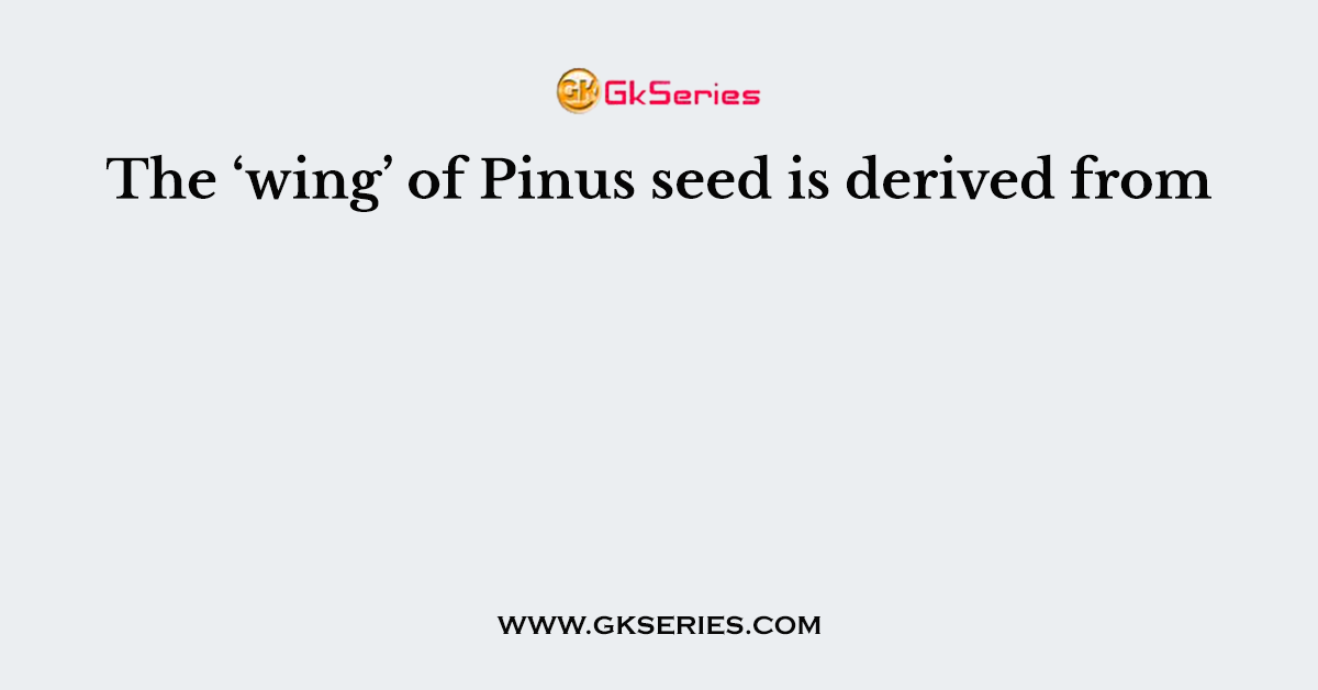 The ‘wing’ of Pinus seed is derived from