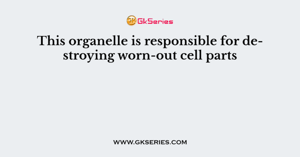 this-organelle-is-responsible-for-destroying-worn-out-cell-parts